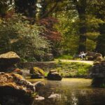 5-Day Heart of England, Wales & Yorkshire Small-Group Tour from London - Who Should Take This Tour?
