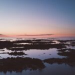 5-Day Kayak & Wildcamp the Archipelago of Sweden - Self-guided - Final Thoughts: Is This Tour Right for You?