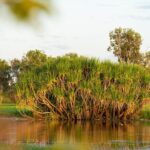 5 Day Top End Camping Tour - Final Thoughts