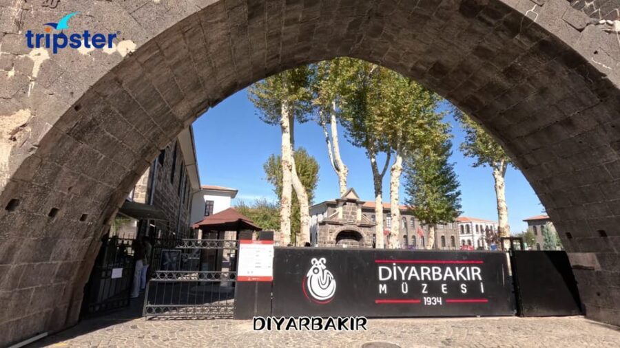 5 Days Gobeklitepe, Nemrut, Mardin and Diyarbakr Tour - Logistics & Value