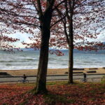 5 Days of Adventure in Vancouver  Activities-Only Tour - A Complete Dive into the 5-Day Vancouver Adventure Tour