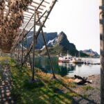 5 Highlights Of Lofoten From Svolvær - Practical Considerations and What to Expect