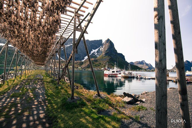 5 Highlights Of Lofoten From Svolvær - Practical Considerations and What to Expect