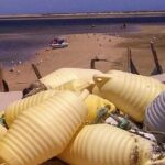 5 Hour Boat Tour in Ria Formosa - Final Thoughts