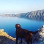 5-Hour Private Custom Santorini Tour - FAQs