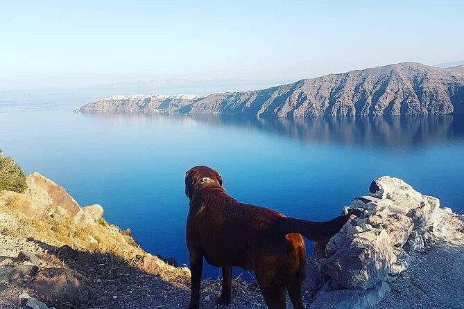 5-Hour Private Custom Santorini Tour - FAQs