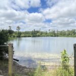 5-Hour Wilmington River to Sea E-Bike Self-Guided Tour - Who Will Love This Tour?