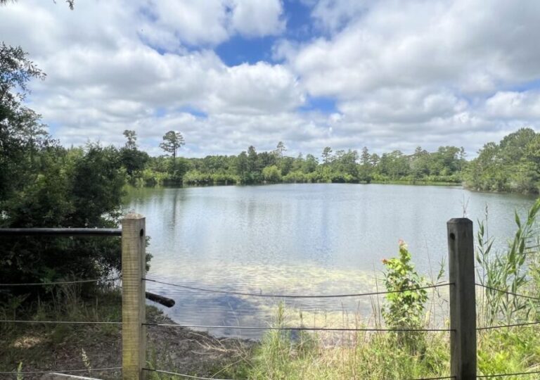 5-Hour Wilmington River to Sea E-Bike Self-Guided Tour - Who Will Love This Tour?