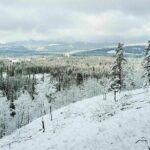 5 hours Winter Wonderland Guided Hike to Fullerton Loop - Frequently Asked Questions