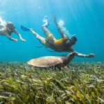 5-in-1 Cancun Snorkeling: Turtles, Reef, Musa, Shipwreck, Cenote - The Sum Up