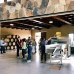 5 wines Tastings with Tour in Valle de Guadalupe Winery - Why This Tour Stands Out