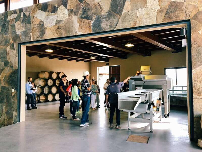 5 wines Tastings with Tour in Valle de Guadalupe Winery - Why This Tour Stands Out