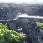 500 years of vines and 300,000 years of island, an infinite story - A Closer Look at the Tour Itinerary