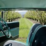 '56 Chevrolet 3-hr Melbourne Classic Car Private Tour (4 ppl) - Who Is This Tour Best For?