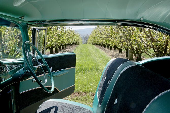 '56 Chevrolet 3-hr Melbourne Classic Car Private Tour (4 ppl) - Who Is This Tour Best For?