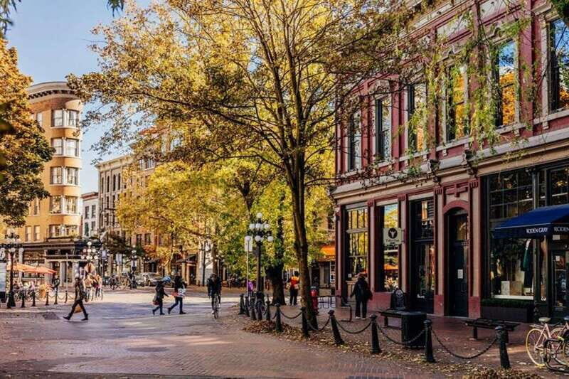 5hr Private Sightseeing Tour-Vancouver City (fr YVR/Cruise) - What the Tour Does Well and What to Keep in Mind