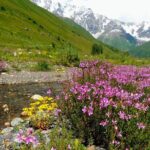6-Day Tour to Georgia from Tbilisi. Cultural Heritage - A Deep Dive into the 6-Day Georgia Tour: What You Can Expect