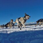 6 Day Winter Wonderland Tour in Yellowstone National Park - Who Should Consider This Tour?