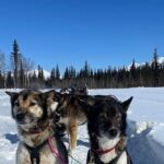 6 Days Brooks Range Expedition Private Tour - Potential Drawbacks or Considerations