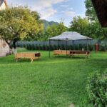 6 Days Private Tour in Romania Spectacular Places from Bucharest - An In-Depth Look at the 6-Day Romanian Adventure