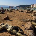 6 Days Turkey Tour Cappadocia, Ephesus, Pamukkale, Gallipoli, Troy Tour - Authentic Experiences and Guided Expertise