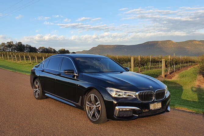 6 Hour Adelaide Hills Winery Tour - Who Will Love This Tour?