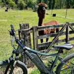 6 Hour EBike Rental in Queenstown New Zealand - Who Would Love This Experience?