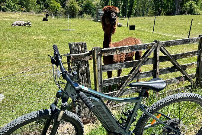 6 Hour EBike Rental in Queenstown New Zealand - Who Would Love This Experience?