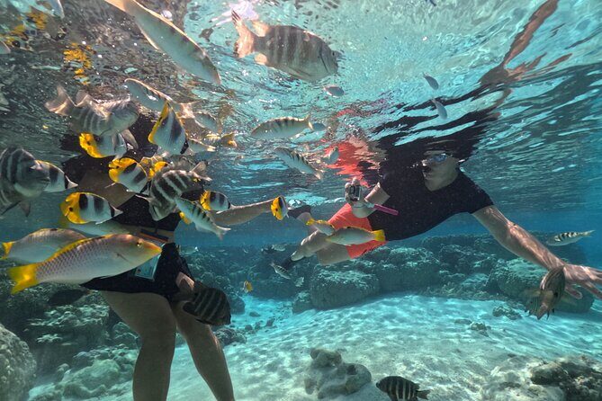 6-Hour JetSki Excursion around Raiatea - Value and Cost: Is It Worth It?