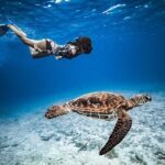 6 Hour Private Boat Activity with Snorkeling & Lunch - Exploring Moorea’s Waters: A Detailed Look at the Tour