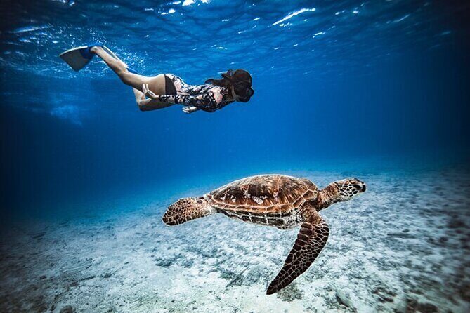 6 Hour Private Boat Activity with Snorkeling & Lunch - Exploring Moorea’s Waters: A Detailed Look at the Tour