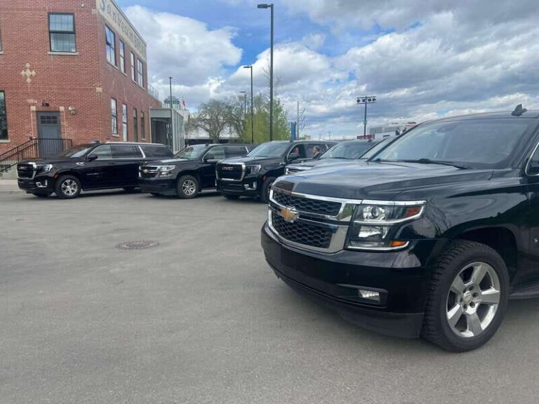 6-Hour Private City Tour Drive to Calgary Tower - What Will You See and Do?