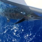 6 Hour Private Fishing Charter Kona, Hawaii - The Fishing Experience: From Lines in the Water to Catching Memories