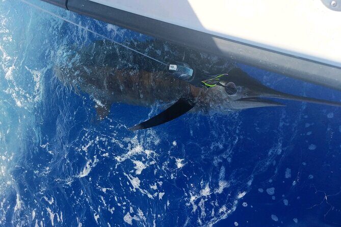 6 Hour Private Fishing Charter Kona, Hawaii - The Fishing Experience: From Lines in the Water to Catching Memories