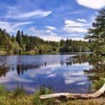 6 hour Private tour of the Lake District. - Practical Tips to Maximize Your Experience