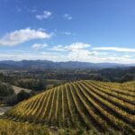 6-Hour Private Wine Country Tour of Napa Valley (up to 6 people) in Large SUV - Why Choose This Tour?