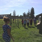 6-Hour Victoria to Cowichan Wine Tour - Who Will Love This Tour?