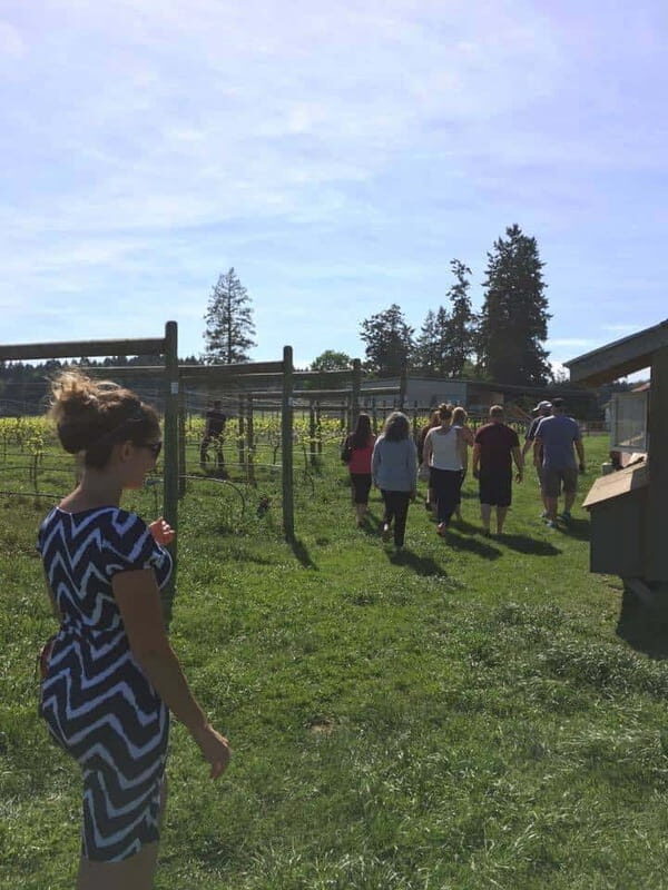 6-Hour Victoria to Cowichan Wine Tour - Who Will Love This Tour?