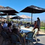6 Hour Welcome to Brisbane Private Sightseeing Private Tour - A Deep Dive into the Brisbane Private Sightseeing Tour