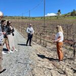 6 Hours Guided Leavenworth Wine Tour - Final Stop: Chateau Faire Le Pont in Wenatchee