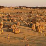 6 Hours Pinnacles Express Tour - What We Wish Was Different