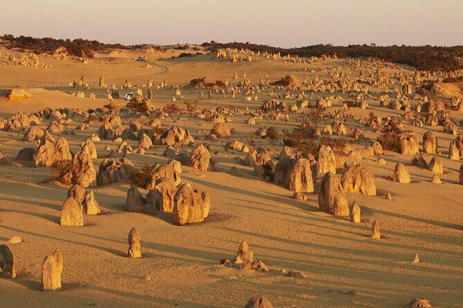 6 Hours Pinnacles Express Tour - What We Wish Was Different