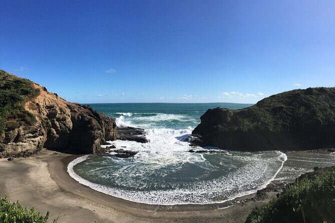 6 Hours Sightseeing Tour in Auckland - The Experience Youll Remember