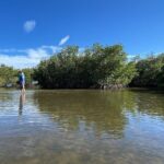 6-Hr Tropical Mangroves, Coastal River and Ocean Wildlife Watch - What Makes This Tour Stand Out