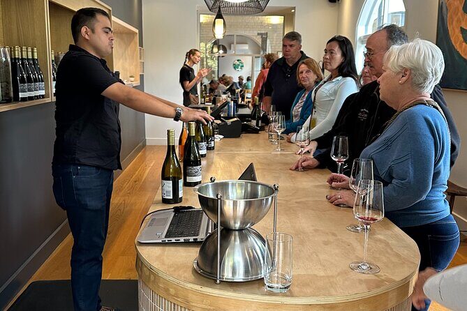 6hr Martinborough Chefs shared wine tour  lunch from Wellington - Who Should Book This Tour?