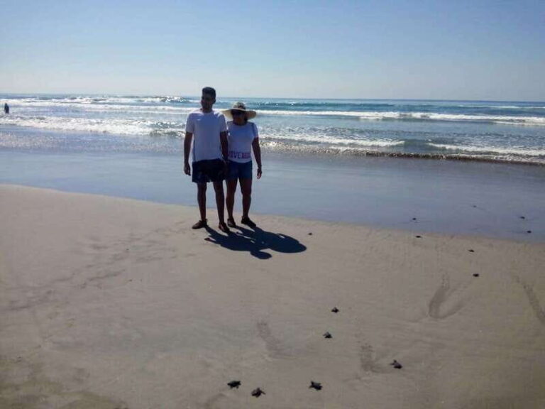 .6Hr Tour Diving Show Baby Turtle Release & All Attractions - Practicalities and Value