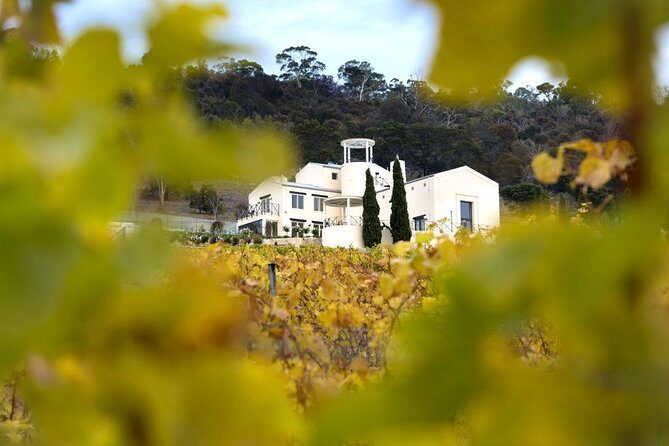7- 8 Hour StelaVino Guided Wine Tours From Hobart, Tasmania - An In-Depth Look at the Hobart Wine Tour Experience