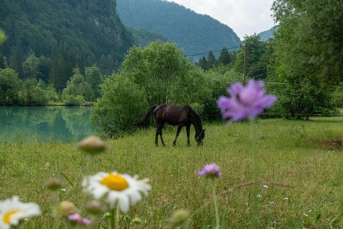 7 Alpine Wonders- Day Tour Bled, Soca valley, Slovenia - Why This Tour Works for You