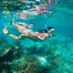 7-Day Exmouth Explorer via Pinnacles Monkey Mia Ningaloo Reef returning to Perth - What Makes This Tour Stand Out?