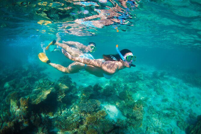 7-Day Exmouth Explorer via Pinnacles Monkey Mia Ningaloo Reef returning to Perth - What Makes This Tour Stand Out?